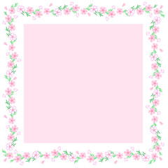 華やかなピンクの芝桜のフレーム