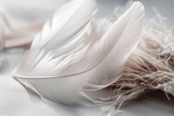 Dense background of white feathers. Close up texture of white swan feather or angel wing. Bird plumage. Copy space. High resolution. Generative AI, human enhanced