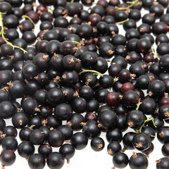 black currant berries on a white background