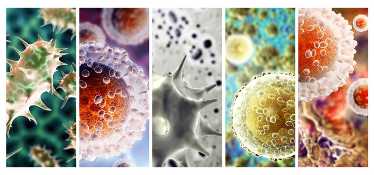 Collection of horizontal or vertical banners with pathogenic bacterias and viruses. Virus under microscope. Fast multiplication of bacteria
