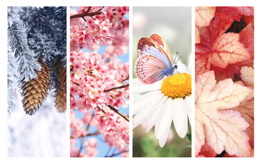 Four seasons of year. Set of vertical nature banners with winter, spring, summer and autumn scenes