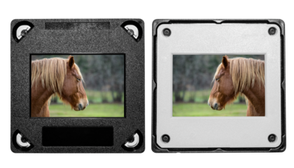 diapositive couleur portrait cheval recto verso, PNG sur fond transparent