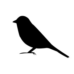 Obraz premium bird vector illustration silhouette