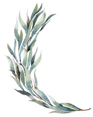 Watercolor leaves, branches hand drawn eucalyptus elements.Design for invitation, wedding or greeting cards.