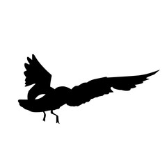 bird vector illustration silhouette