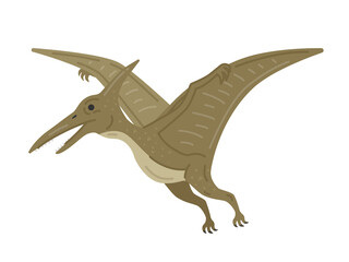 恐竜のプテラノドンのイラスト © R-DESIGN