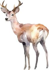 Deer illustrations created with Generative AI technology