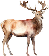 Elk illustrations created with Generative AI technology