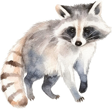 Raccoon illustrations created with Generative AI technology