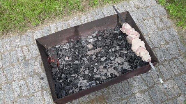 Skewers meat on Brazier, close-up. barbecue aon the grill. Kebab on brazier. Cooking meat at backyard.
