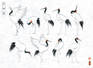 Japanese red-crowned crane birds in oriental style on rice paper backrgound. Traditional Japanese ink wash painting sumi-e. Hieroglyphs - eternity, freedom, happiness, zen