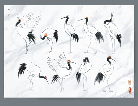 Japanese red-crowned crane birds in oriental style on old paper backrgound. Traditional Japanese ink wash painting sumi-e. Hieroglyphs - peace, tranquility, clarity.