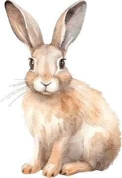 Hare illustrations created with Generative AI technology
