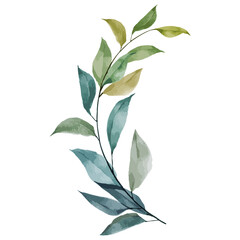 Watercolor Flower frame