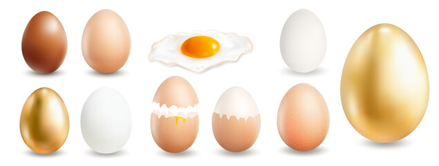 Realistic Egg Collection with Fried Egg, Raw White, Brown Chocolate, Beige Boiled Eggs. Vector Illustration for Your Design.