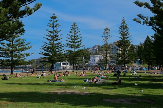 Maroubra Beach in Sydney