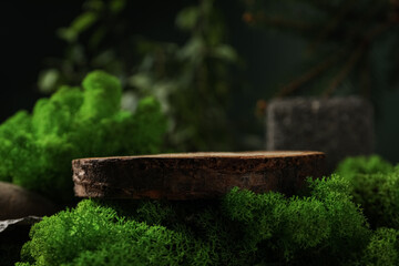 Moss, different backgrounds for nature concept, moss and wood, moss and stones