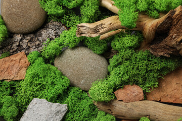 Moss, different backgrounds for nature concept, moss and wood, moss and stones