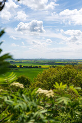 Fototapeta premium Green and yellow farm fields with canola rapeseed in Skåne Sweden during spring