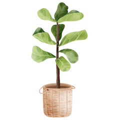 Houseplant with Flowerpot watercolor illustration