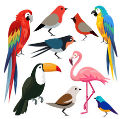 Collection of colored Bird vector