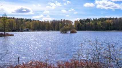 Local lake with beautiful early green trees from sunny spring in sweden