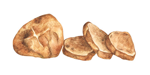 Grilled bread. Sliced bread. Watercolor hand drawn illustration.
