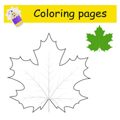Coloring pages. Cartoon maple leaf vector. Illustration for children education.