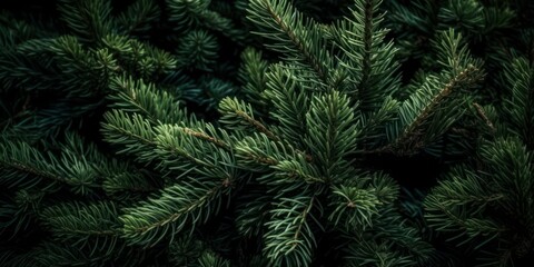 background of green spruce branches close-up. Generative AI Generative AI