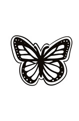 butterfly