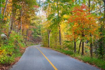 Fototapeta na wymiar Colorful Autumn Roadway at Mammoth Cave National Park