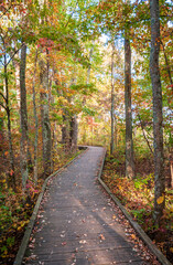 Fototapeta premium Boardwalk at Mammoth Cave National Park in Kentucky