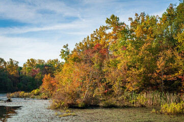 Obraz premium The Wetlands at Mammoth Cave National Park