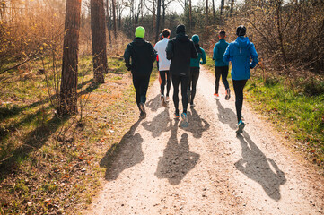 Running Squad Training in Spring Pine Forest