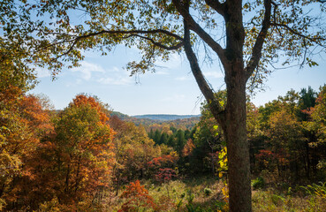 Overlook of Mammoth Cave National Park in Kentucky