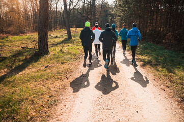 Elite Running Squad Training for Spring Races in Majestic Pine Forest