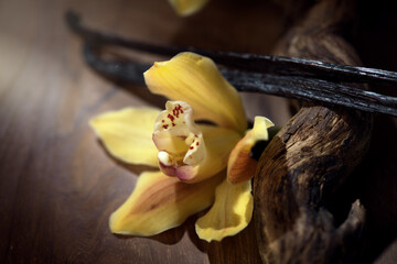 Vanilla flower and pods close up. Vanilla beans over wood background, macro shot. Aromatic condiments © Subbotina Anna