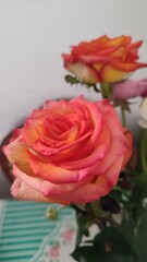 orange decorative natural rose flowers bouquet, botanical view, garden, biology, plant