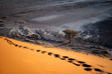 Dune 45 - Lever de soleil