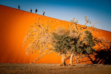 dune 45 - Namibie