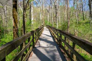 Obraz premium Boardwalk at Mammoth Cave National Park in Kentucky