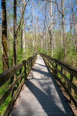 Boardwalk at Mammoth Cave National Park in Kentucky