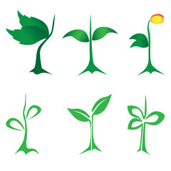 Various shapes of green leaves of trees and plants on white background. Element for logo eco and bio