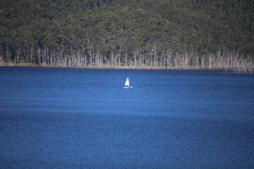 Sailing Boat on a Lake with Dead Sunken Trees in the background