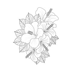 Hibiscus Flower Drawing Coloring Page With Doodle Art Line Art Vector On White Background