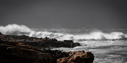 Obraz premium Lighthouse and storm - The Mangiabarche rock of Calasetta during the February 2023 storm 