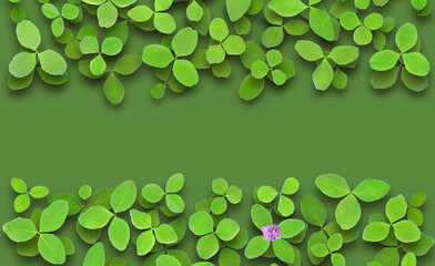 Green foliage of clover border isolated on green background with copy space. Four leaf clover for good luck with a flower.