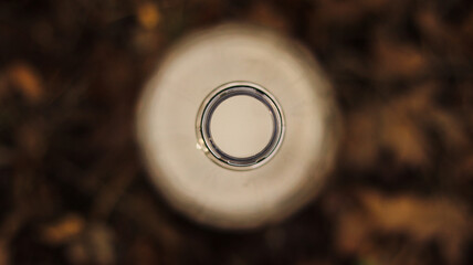 A handful of an empty plastic bottle in the forest.