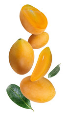 Falling Marian plum or plum mango fruit with green leaves and branch on a white background