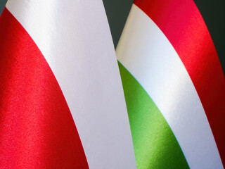 Flags of Poland and Hungary side by side.